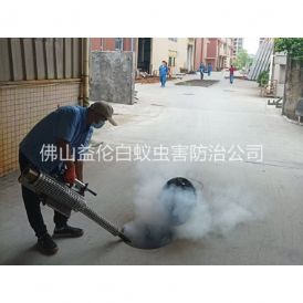 和顺街道消灭蚊虫工程