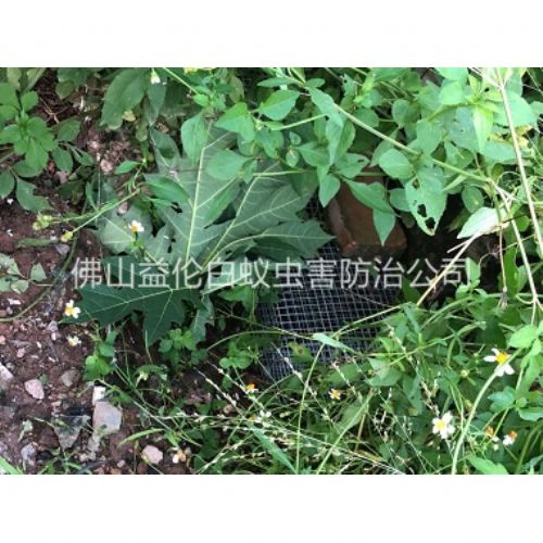 沙头住宅区处理蛇患工程